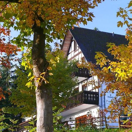 Pension Stiegelmeier Winterberg Exterior foto
