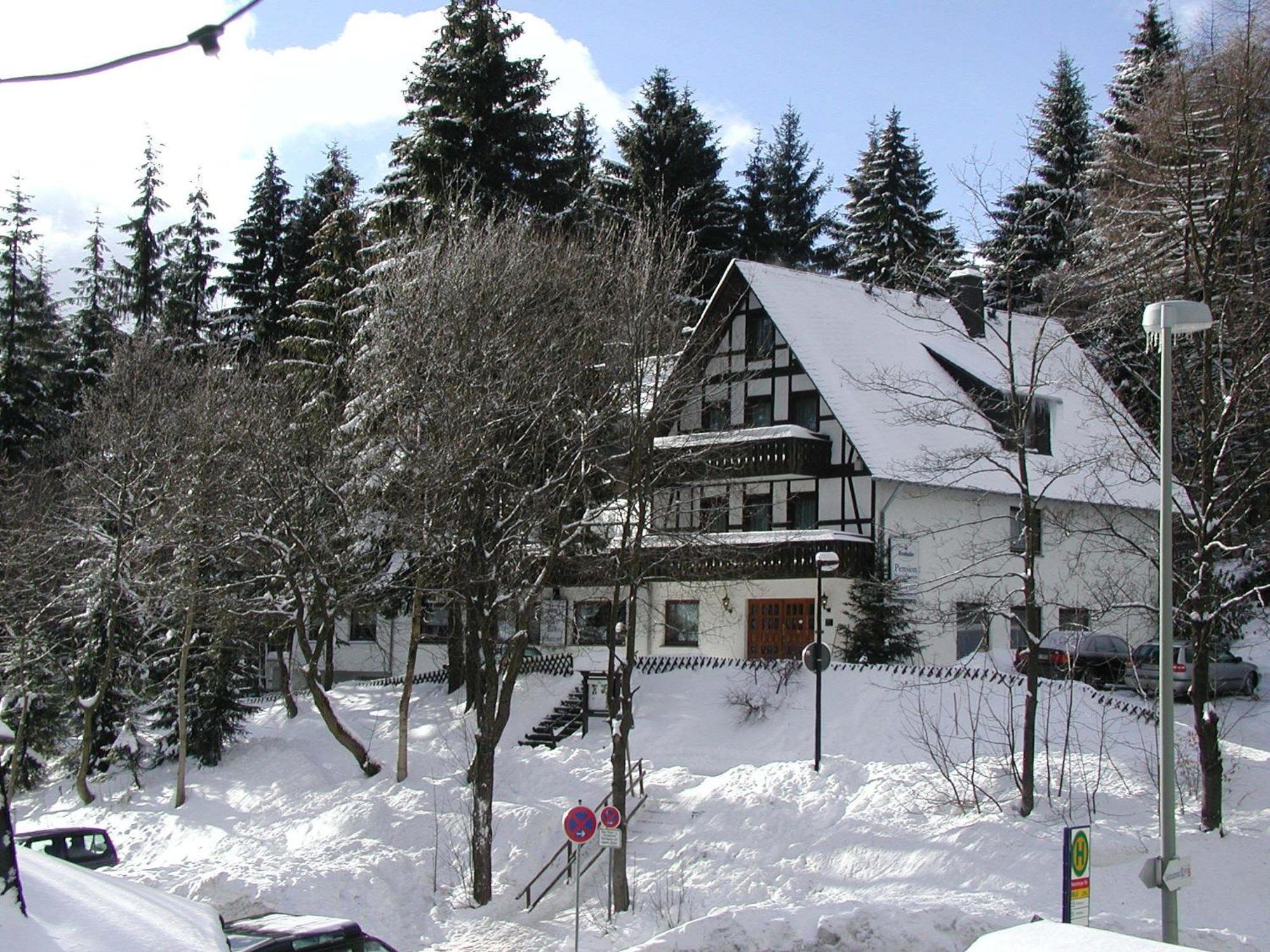 Pension Stiegelmeier Winterberg Exterior foto